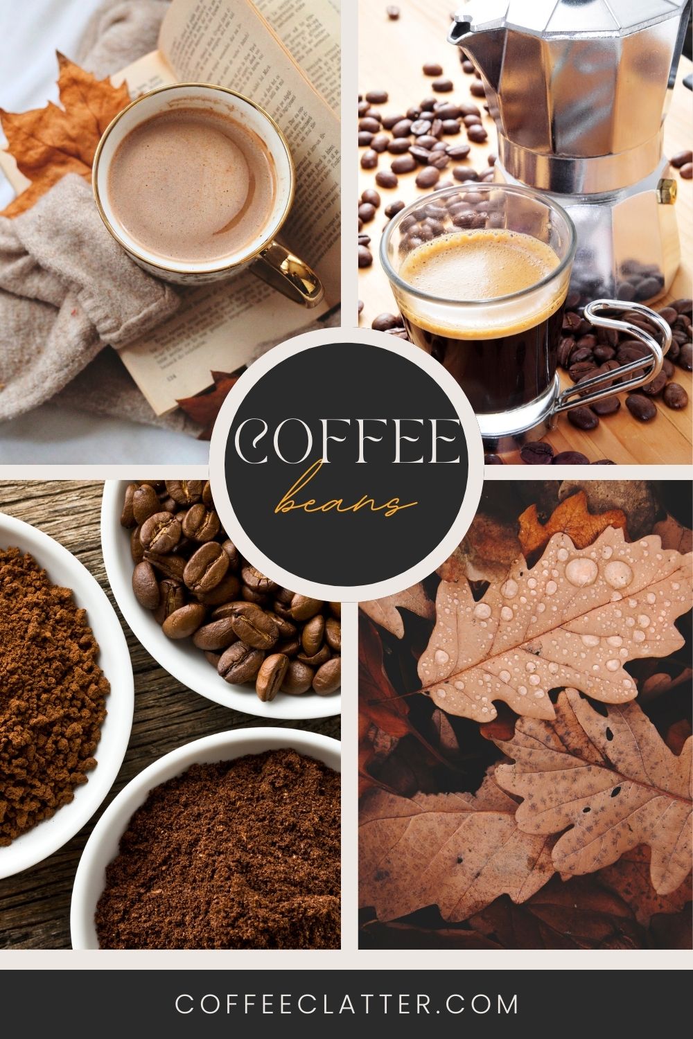 coffee-beans-guide-Coffee Clatter