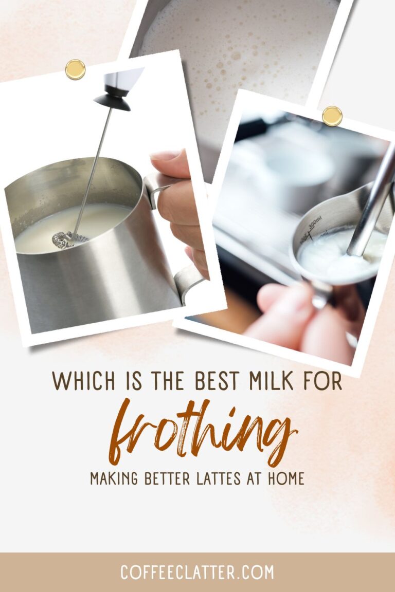 How to choose the best milk for frothing?