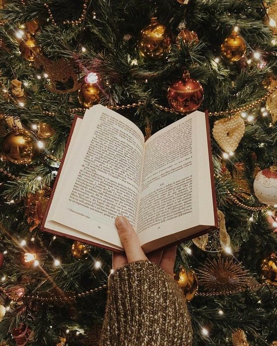 book-christmas-tree-read-aesthetic