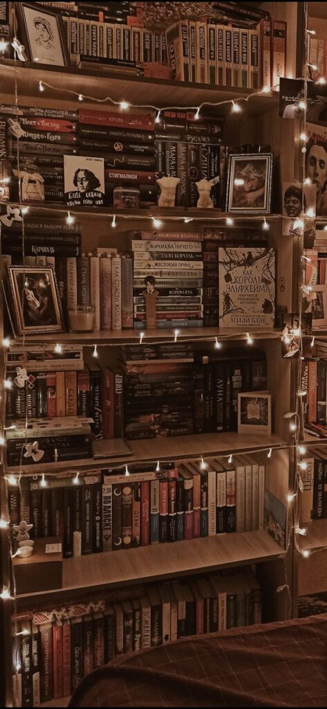 bookshelves-twinkle-lights-christmas-aesthetic