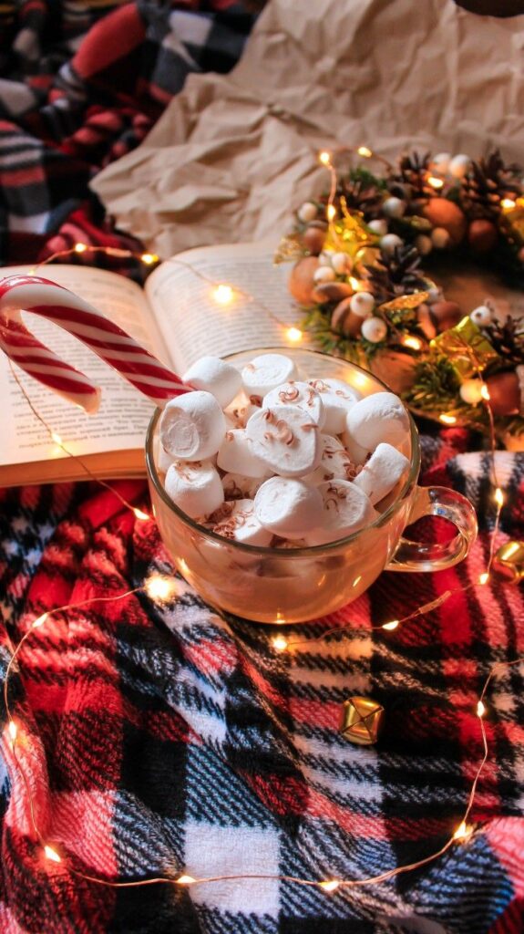 hot-cocoa-coffee-christmas-cozy-read-decor-bookish