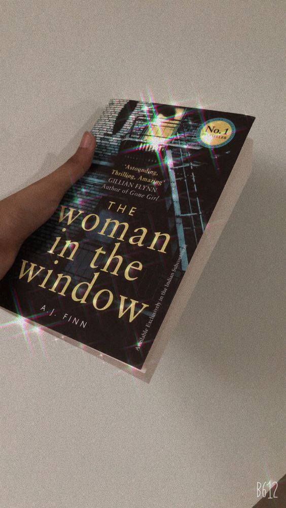 The Woman in the Window book summary