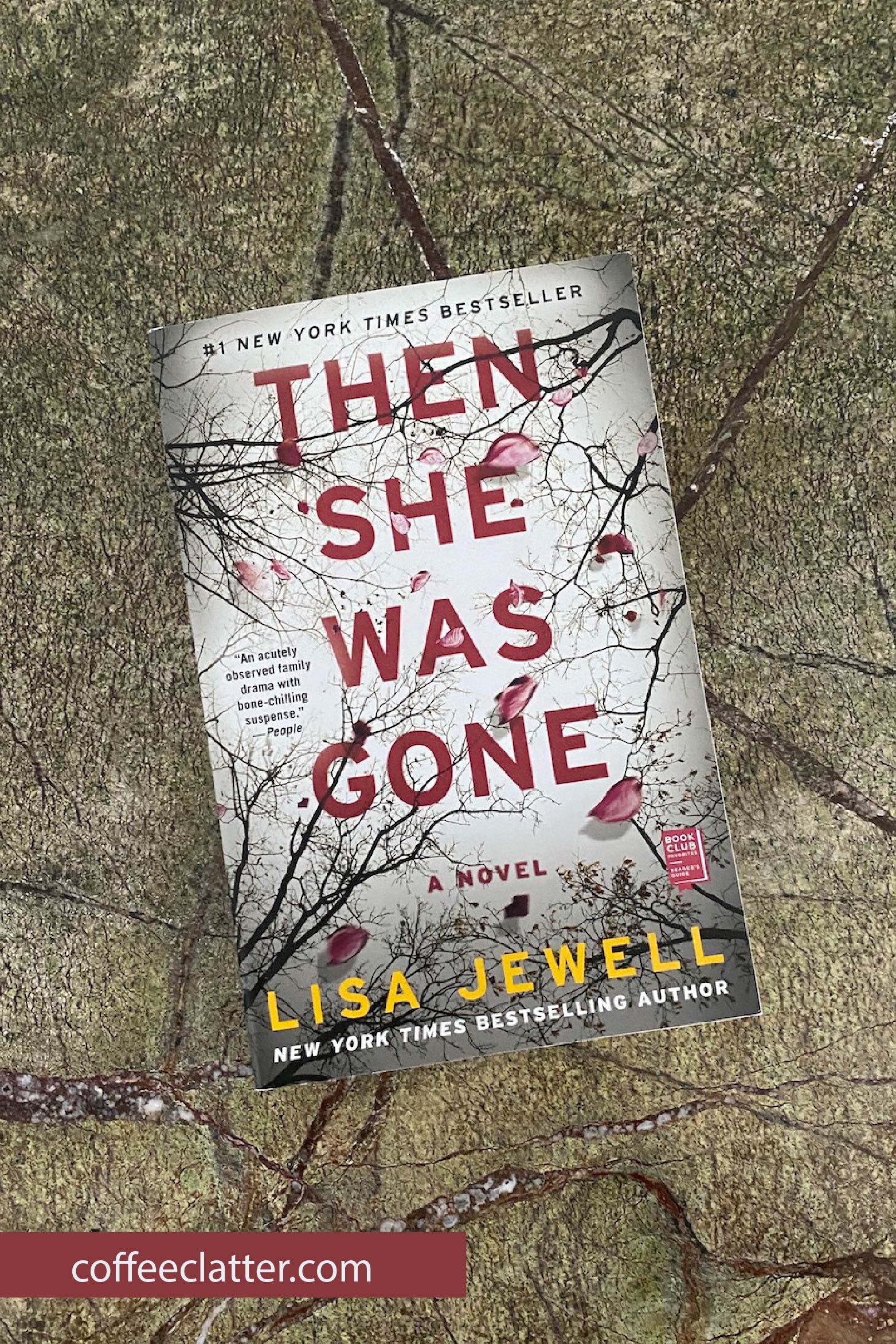 then-she-was-gone-book-summary